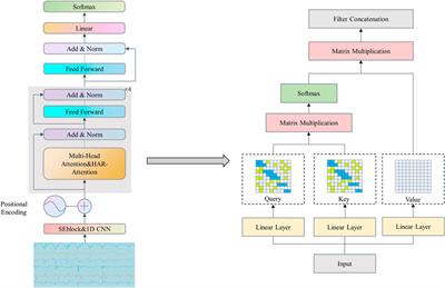 Human behavior recognition based on sparse transformer with channel attention mechanism